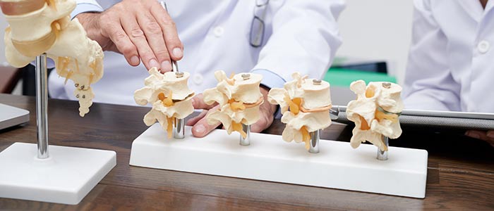 Spinal Disc Injury Education
